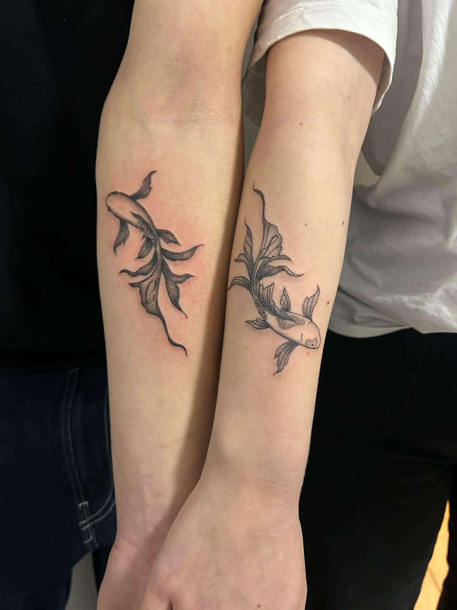 Carpes Koi Duo par Holy Cat