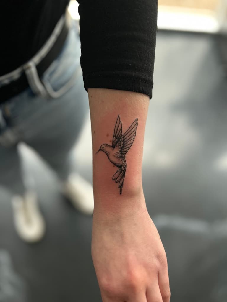 Colibri par Holy Cat