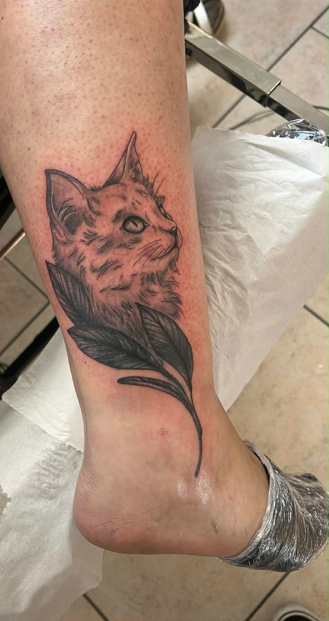 Chat & Plume par Holy Cat