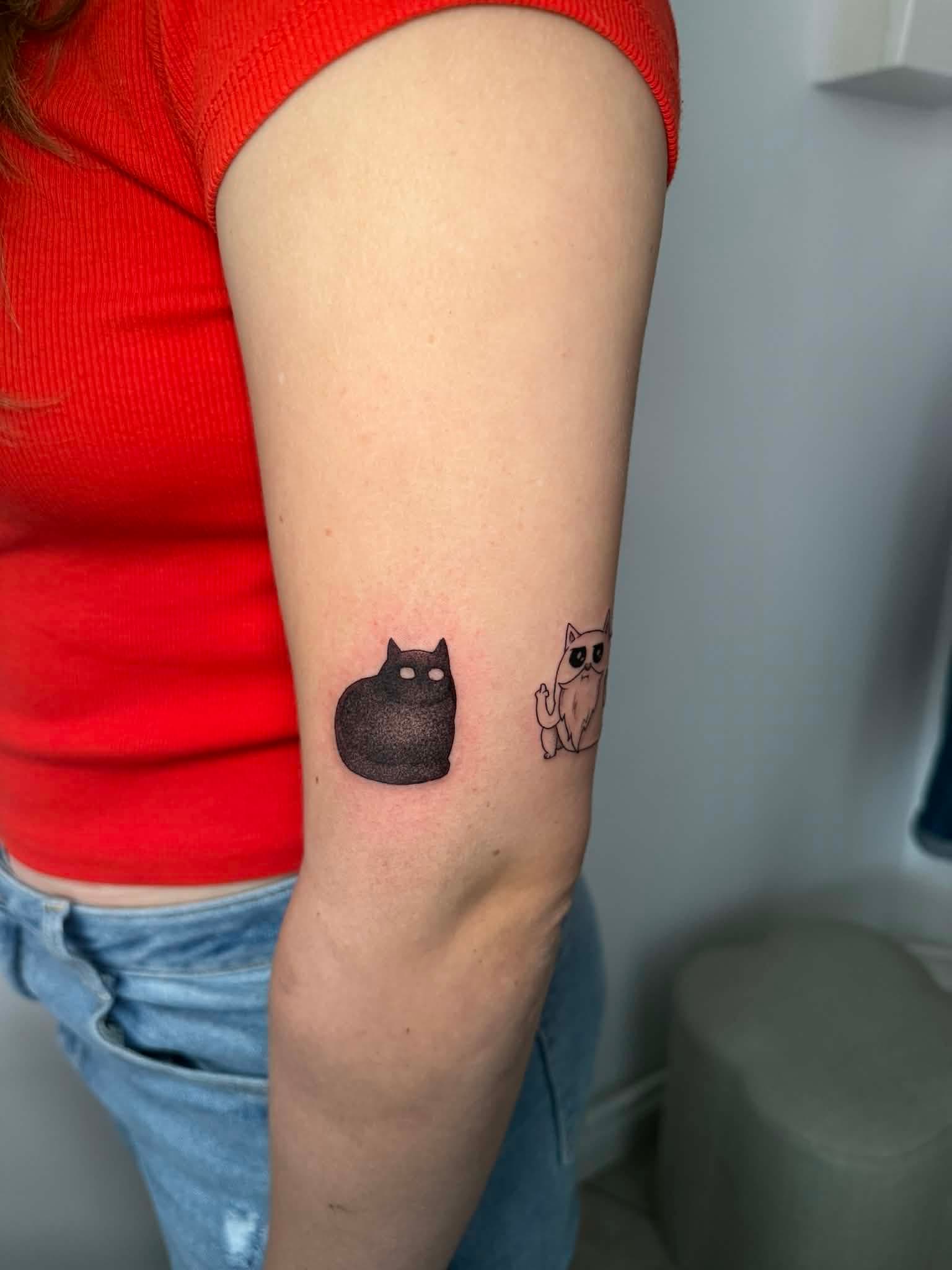 Chats Memes par Littlekowicz