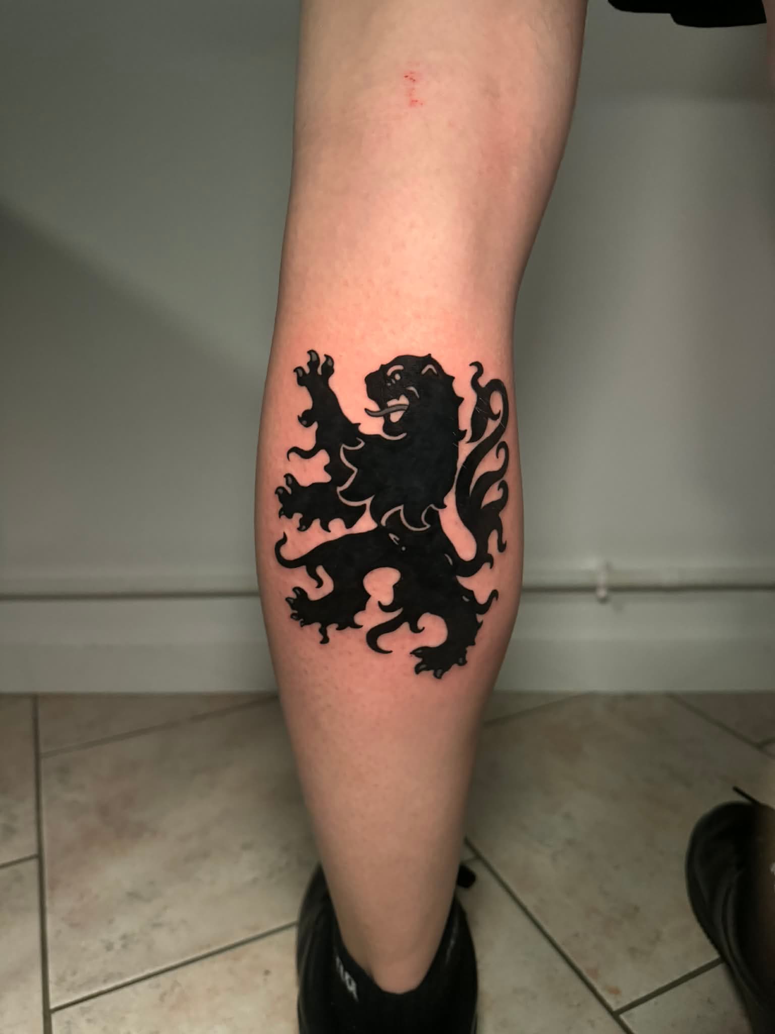 Lion Héraldique par Littlekowicz