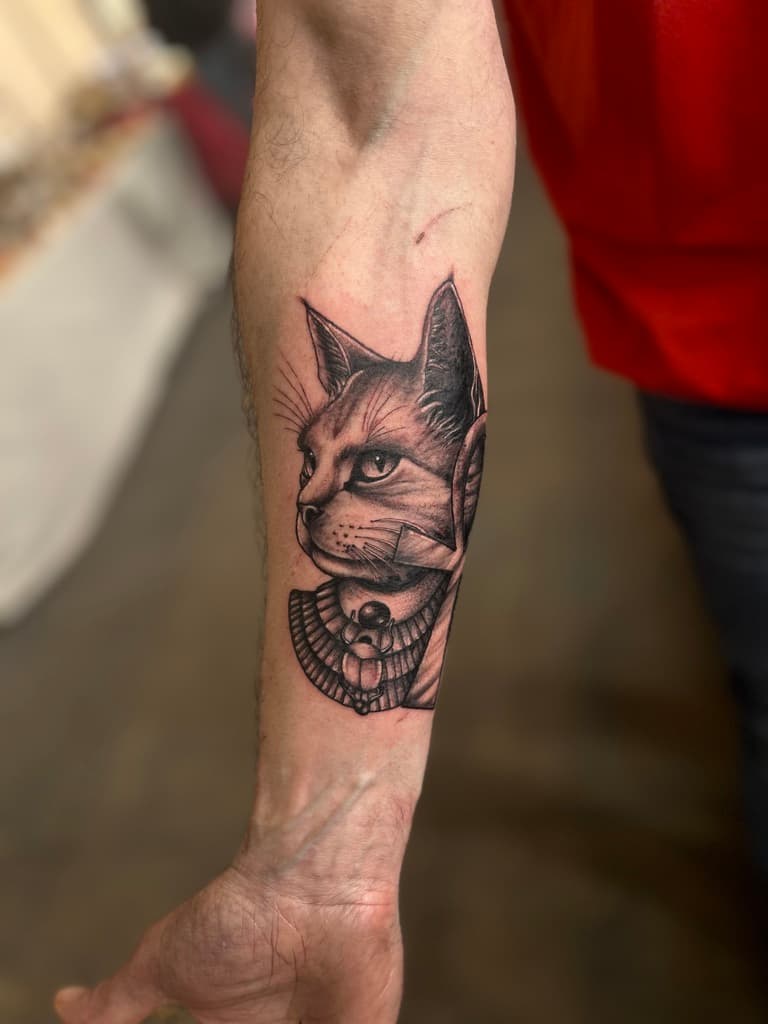Chat Égyptien